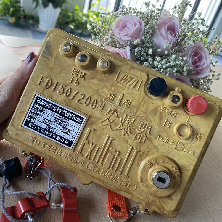 发爆器 辽宁大石桥发爆器